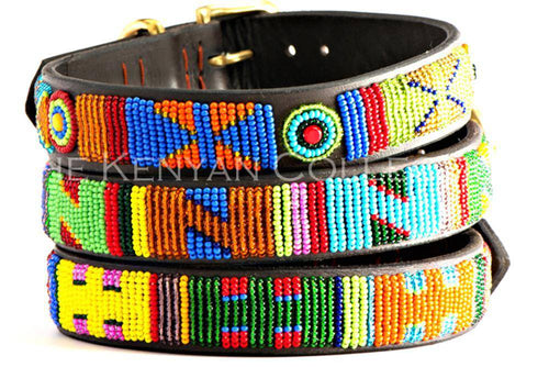 Hippo Circus Belt Wide Width - Exceptional Equestrian 