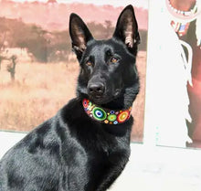 Load image into Gallery viewer, TKC Arani Dots Beaded Dog Collar