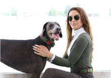 Load image into Gallery viewer, TKC Exclusive Holiday Beaded Belts - Exceptional Equestrian 