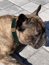 Load image into Gallery viewer, The Babington Collection - Dog Collars