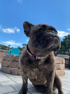 *"Posey" Beaded Dog Collar