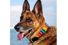 Load image into Gallery viewer, &quot;Rainbow&quot; Beaded Dog Collar