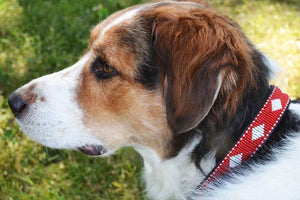 "Unity" Beaded Dog Collar