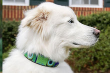 Load image into Gallery viewer, &quot;Peacock&quot; Beaded Dog Collar