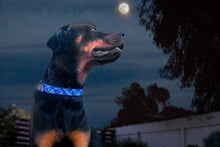 Load image into Gallery viewer, &quot;Moonbeam&quot; Beaded Dog Collar